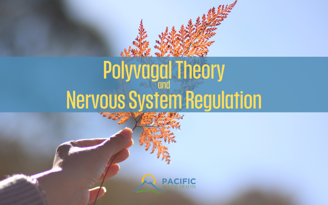 Polyvagal Theory and Nervous System Regulation
