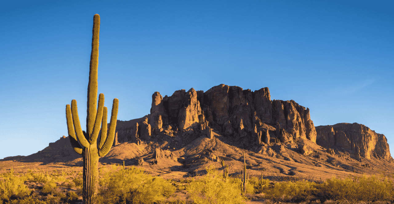 Arizona Arizona desert landscape with canyons and cactus